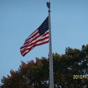 Meet your Posher, Nell